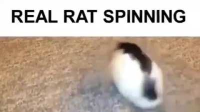 sPEEN