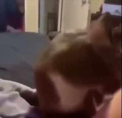 What the cat doin