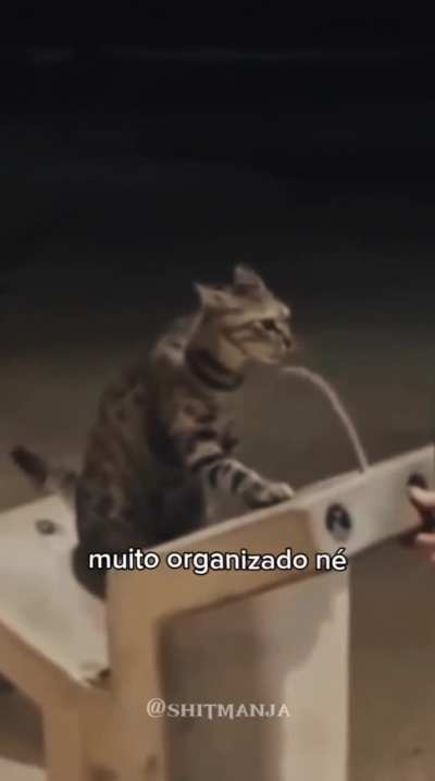 Uma coisa linda