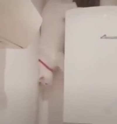 perfectly executed