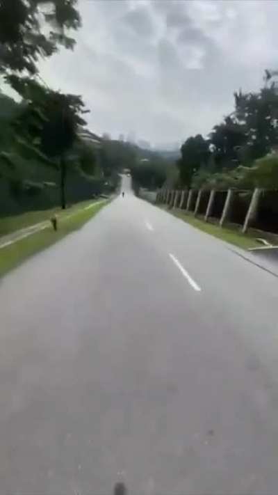Car vs Bike