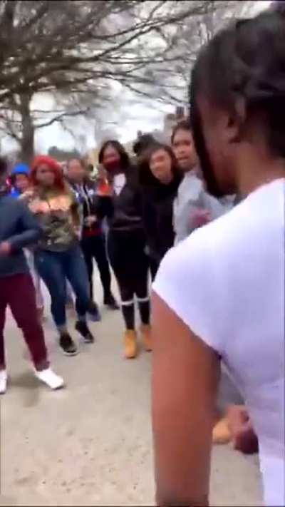 Rumble in the hood