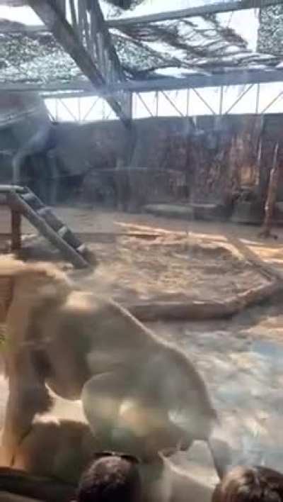 Oh Well