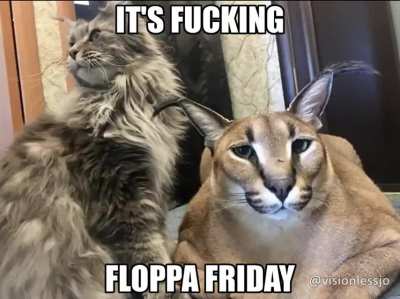 Floppa rule