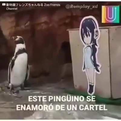 ._.