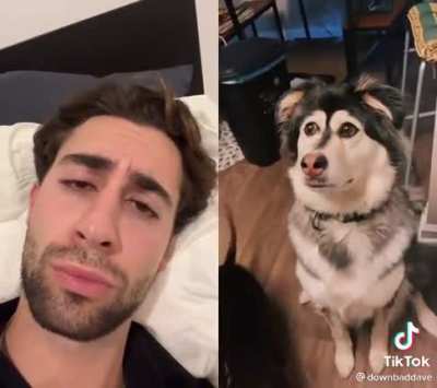 The resemblance is uncanny
