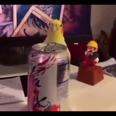 Peekawunky