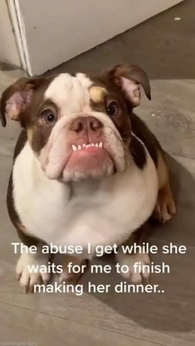 Hungry Derp