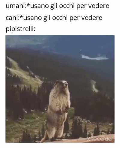 Real fact