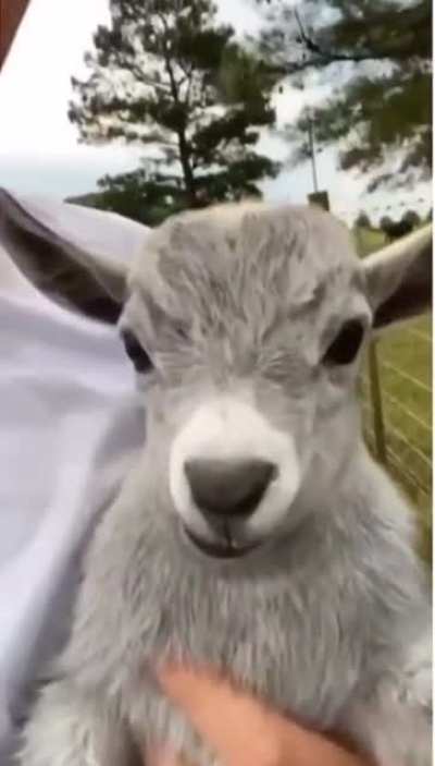 G.O.A.T.