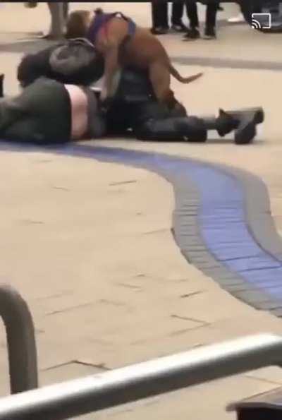 In the heat of the moment