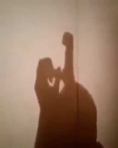 Best shadow puppets ever