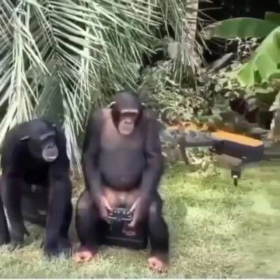 Este video vale 5 subs así que upvote