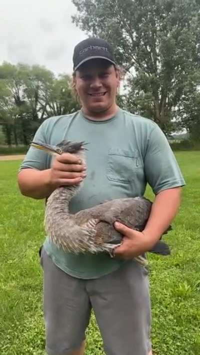 What a cute bird