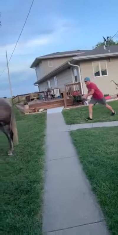 That was a haymaker!