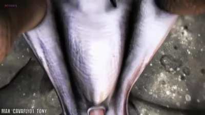 Raptor gangbang 3 (cavafly01)
