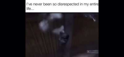 The Audacity