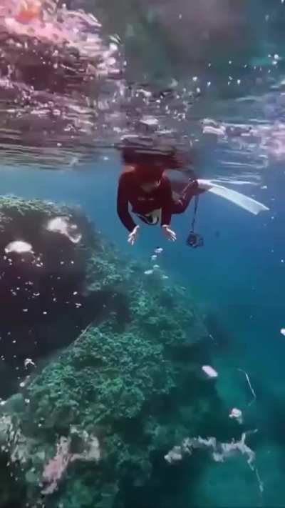 Bubbles Having Sex