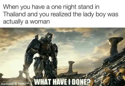 What have I done
