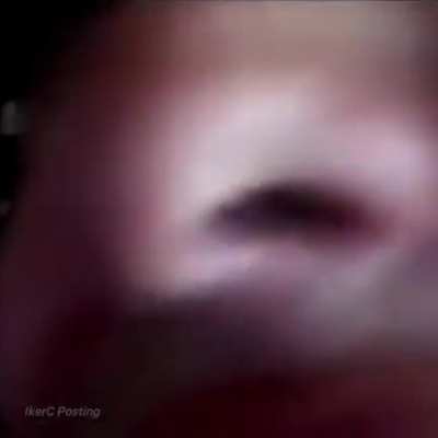 :tf: