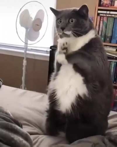 when you learn how to dance online!!!