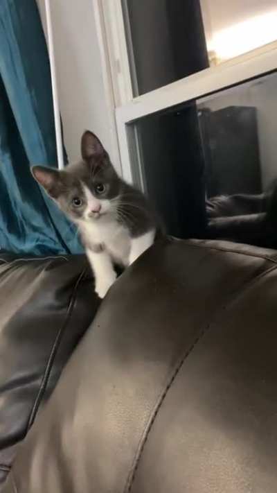 Boo’s scared of her reflection
