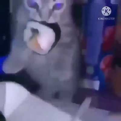 No time for snacks