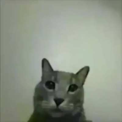 '-'