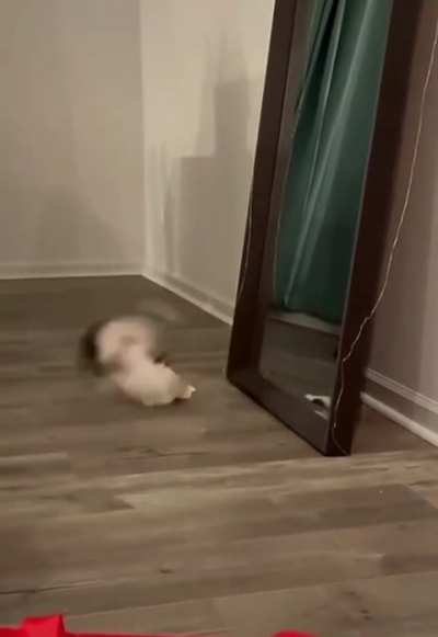You want a piece of me huh come on let's go
