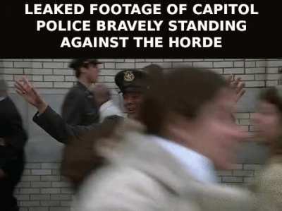 Newly Uncovered Footage of Capitol Police Heroically Protecting Democracy