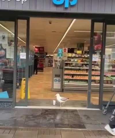 Thanks human