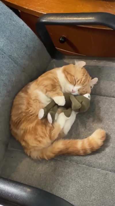 my 12 year old cat still cuddles her toy she got when she was born🥹