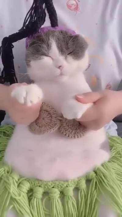 Belly dancer