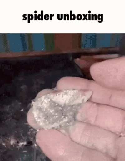 This is a GIF.