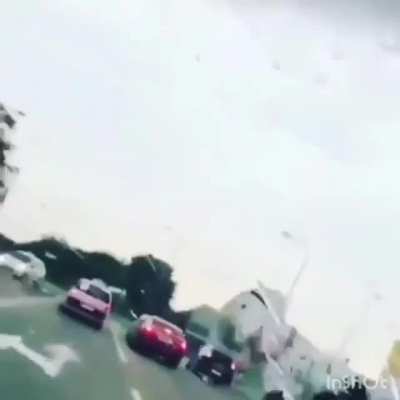 Someone lost a dog