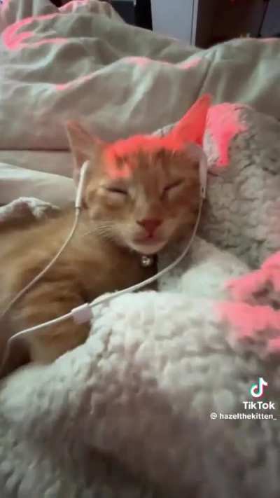 jammin wunk