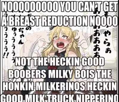 NOOOOOOOOO YOU CAN’T GET A BREAST REDUCTION NOOOO NOT THE HECKIN GOOD BOOBERS MILKY BOIS THE HONKIN MILKERINOS HECKIN GOOD MILK TRUCK NIPPERINOS