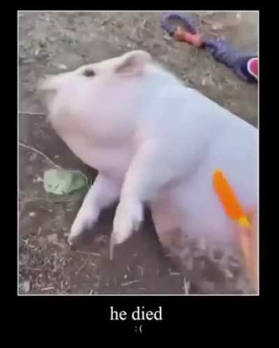 Goré