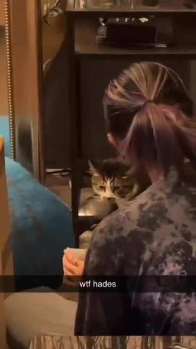 NO!