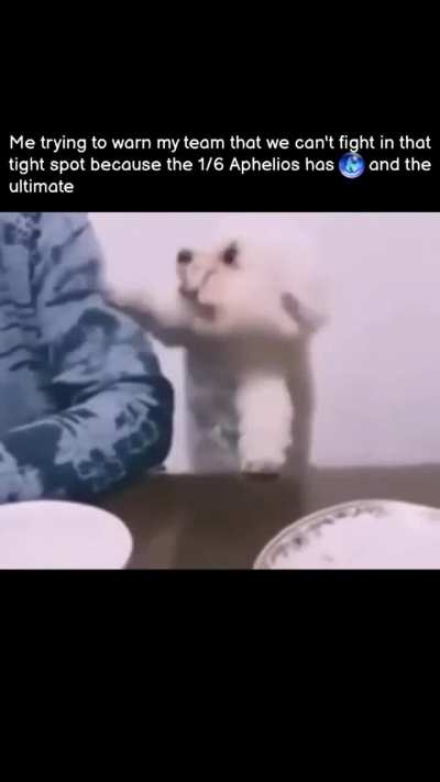hi