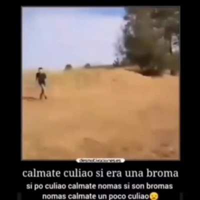 Terrible aweonao conxhe tu mare