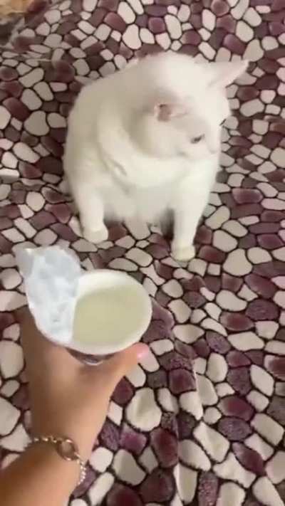 I don't think he likes