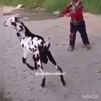 KARMA LULW