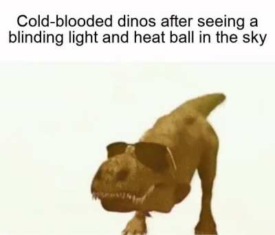 Well that didn't end well for them