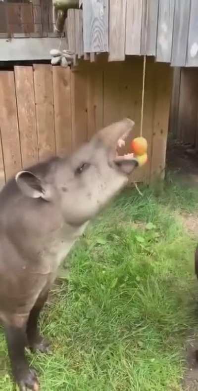 Maybe Maybe Maybe