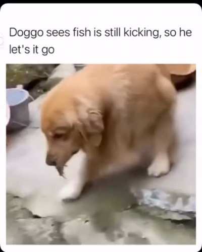 What a nice boy
