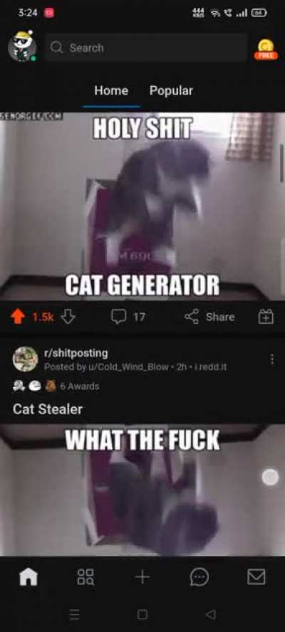 Cat portal