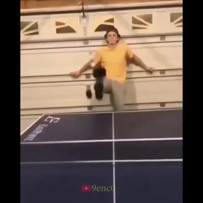 the dog killed me