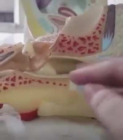 biologia