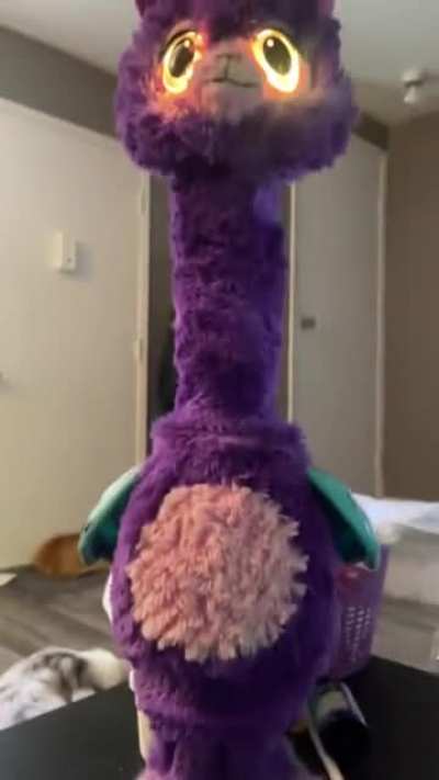 Llama toy found in a garage sale